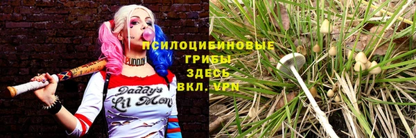 ECSTASY Аркадак