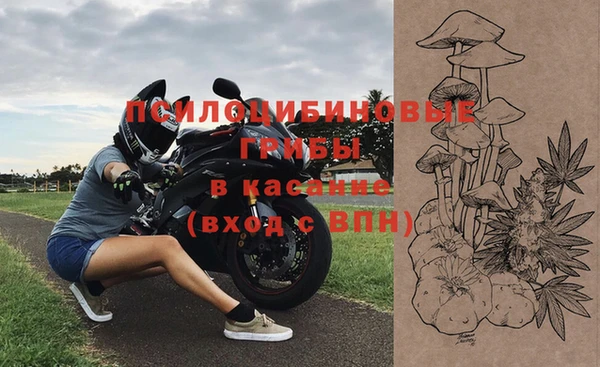 герыч Арсеньев